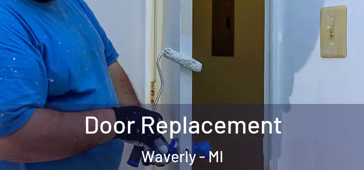 Door Replacement Waverly - MI