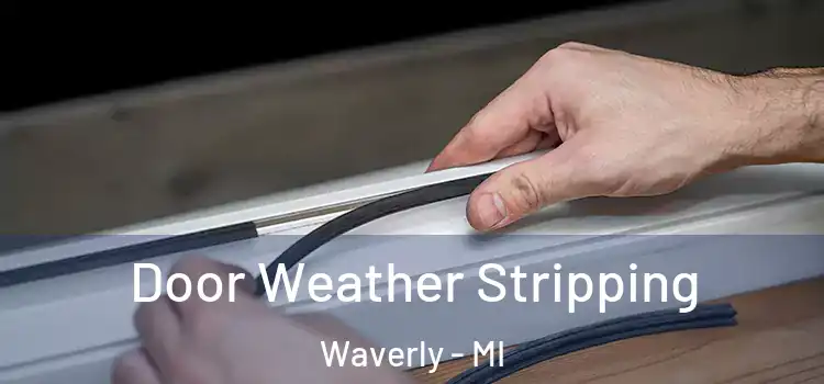  Door Weather Stripping Waverly - MI