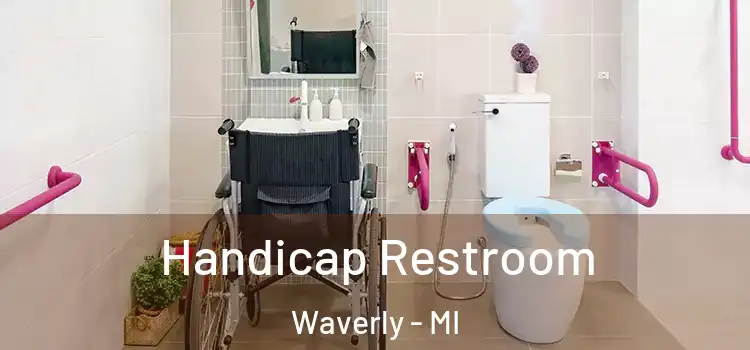  Handicap Restroom Waverly - MI