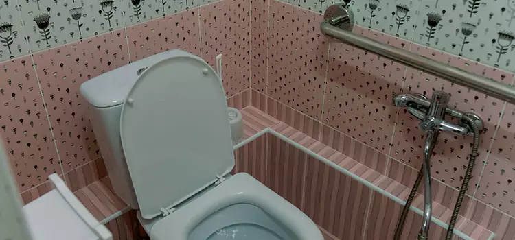 Meeting Diverse Needs With Accessible Restroom Solutions in Waverly, MI